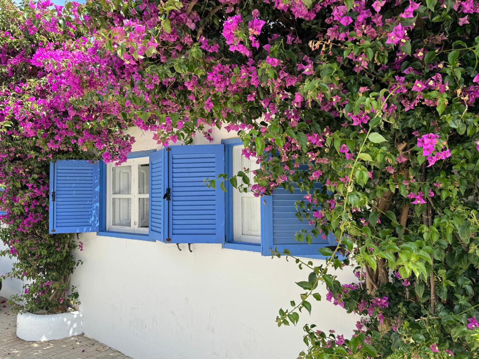 Casa Mellis Aguamarga Lejlighed Agua Amarga  Eksteriør billede